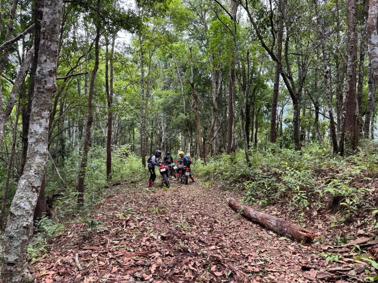 Samoeng to Khun Win Offroad