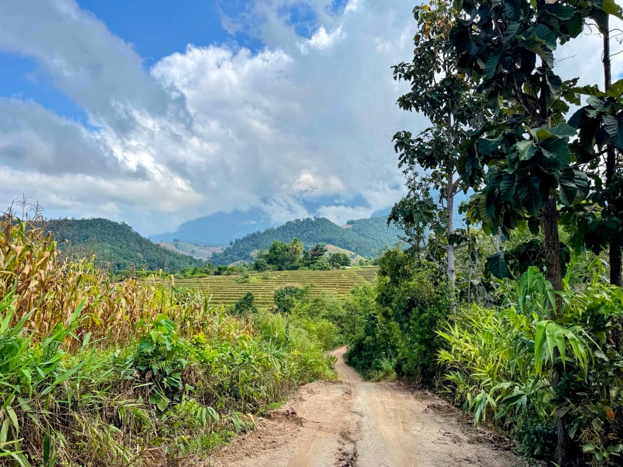 Rider on a clear trail through Northern Thailand forest during cool season