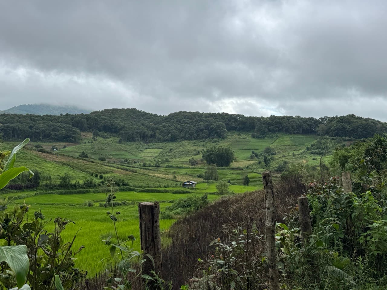 Rice terraces stepping down the valley below the track in the Mae Chaem hills