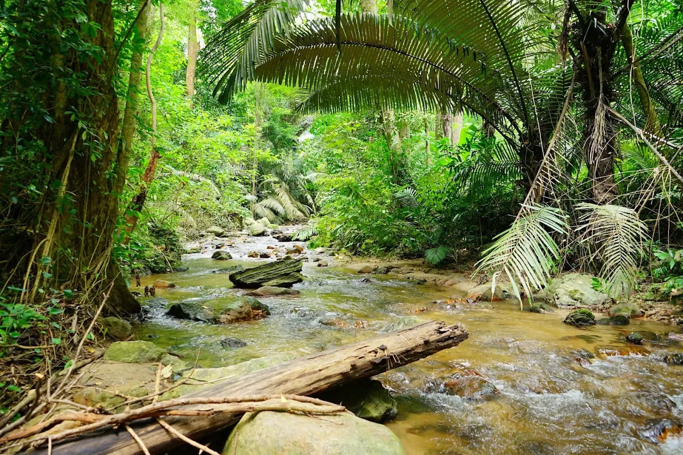 Chaloem Rattanakosin National Park