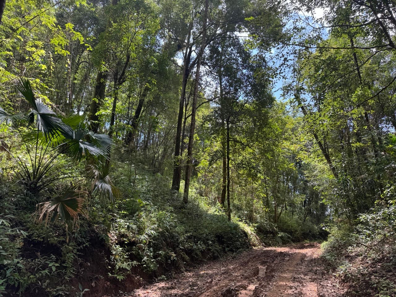 Trail photo — The Ban So Bae Loop Near Phang Ma Pha