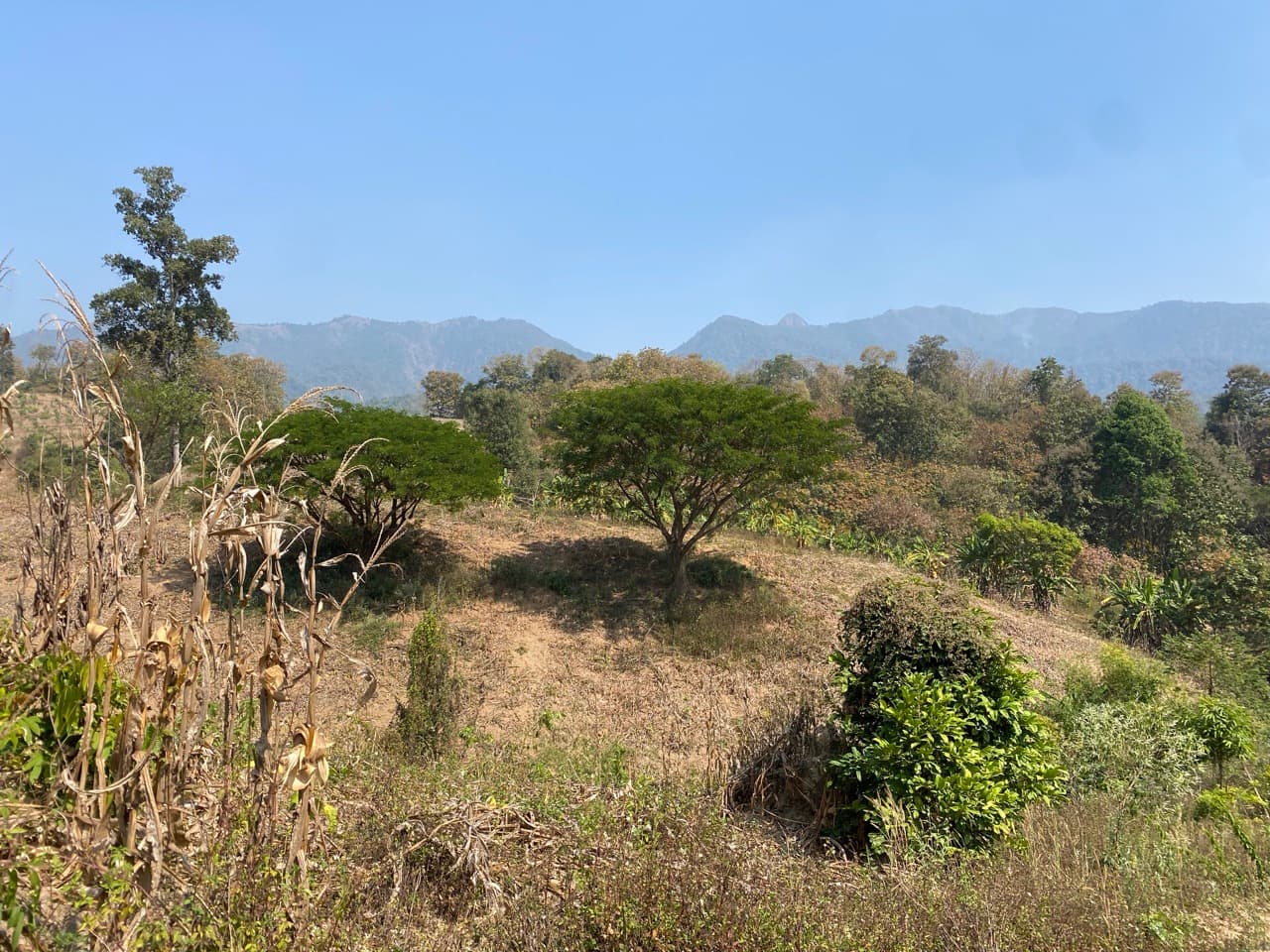 Lampang Back-Roads