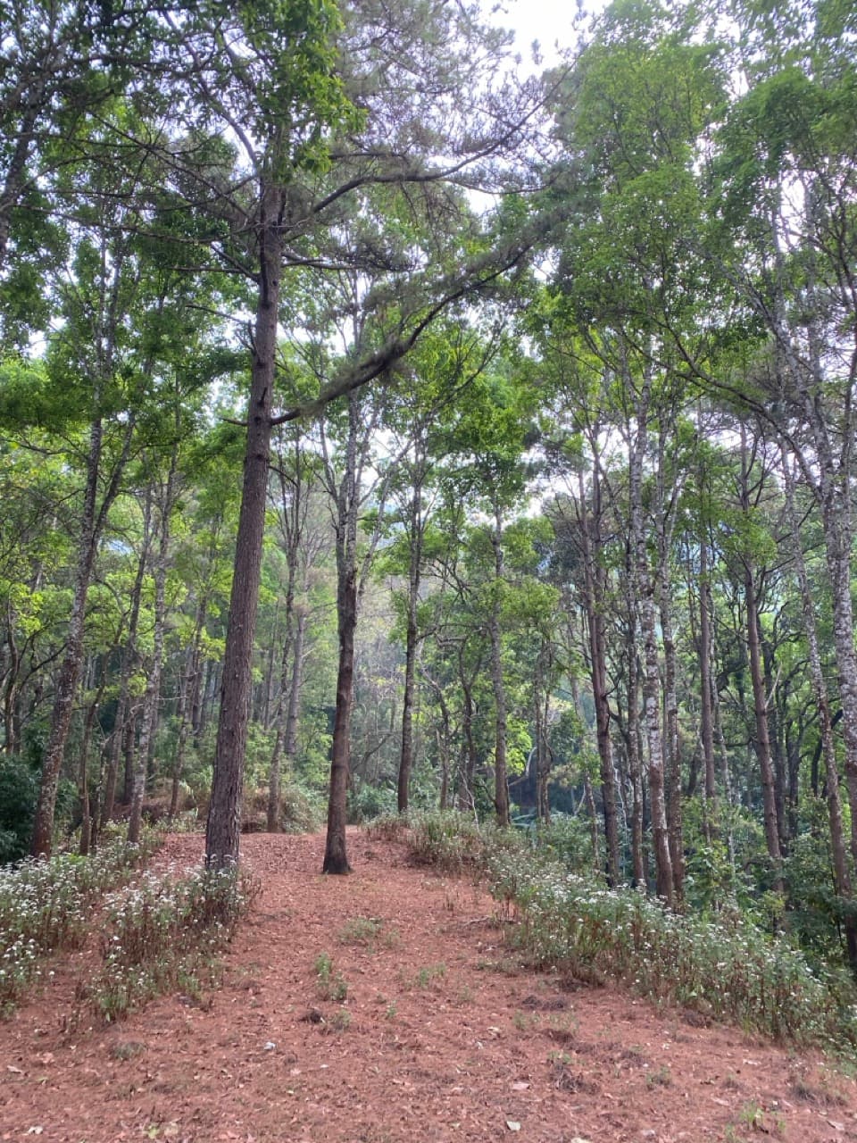 Chiang Mai to Pai Off-road - Option 1