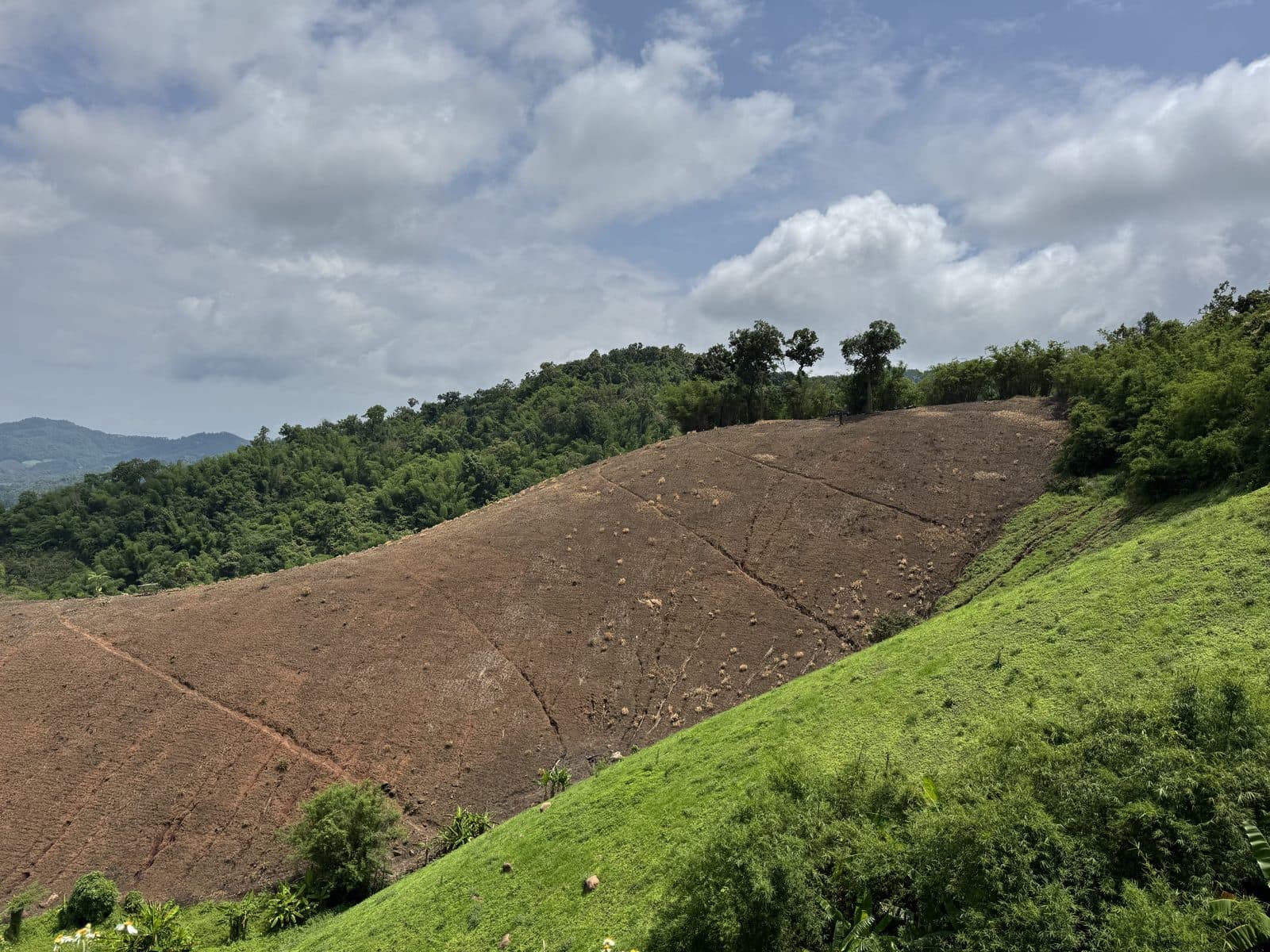 The Phrao Loop