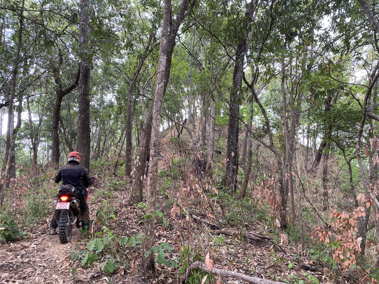 Enduro rider on a rooted jungle single track in Northern Thailand
